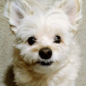 Sophie says,  "Thanks for stopping by!"